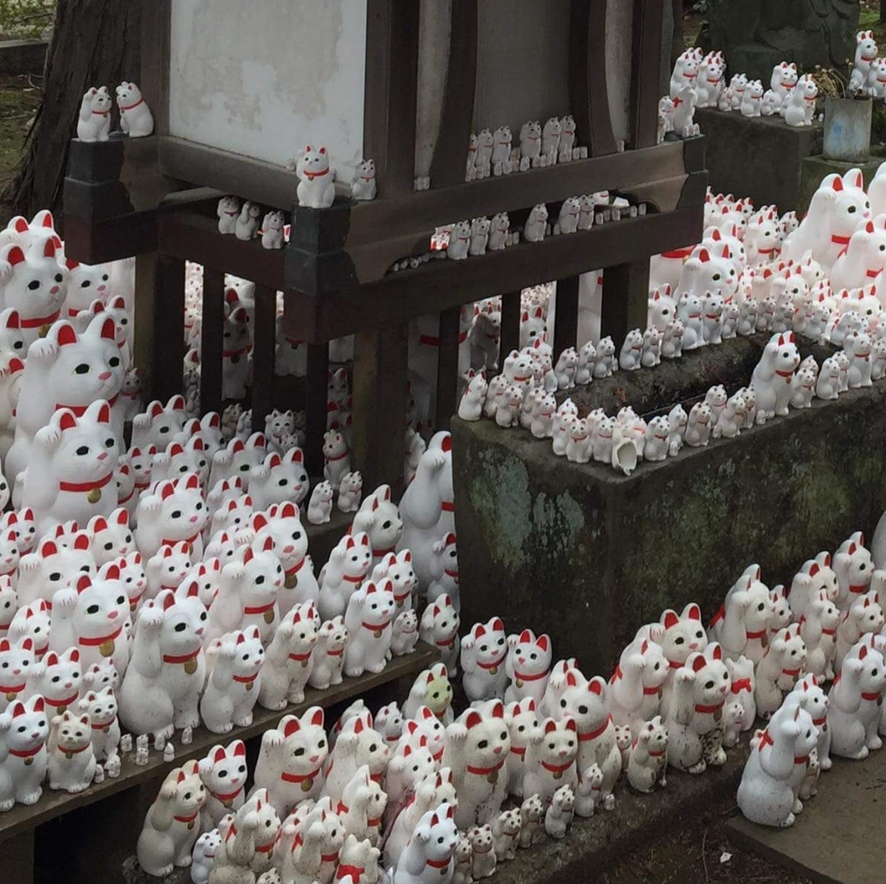 Meet your Posher, Cait